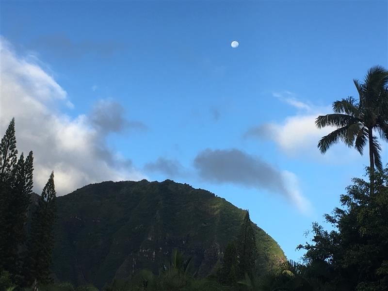  Hawaii photo